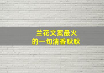 兰花文案最火的一句清香耿耿