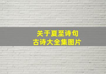 关于夏至诗句古诗大全集图片