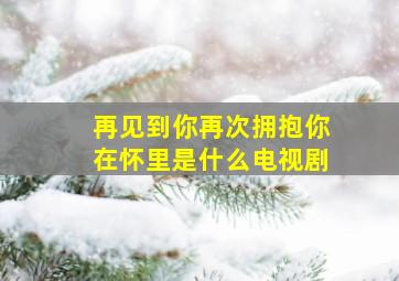 再见到你再次拥抱你在怀里是什么电视剧