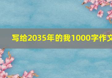 写给2035年的我1000字作文