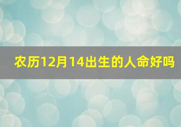 农历12月14出生的人命好吗