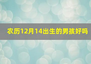 农历12月14出生的男孩好吗