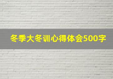 冬季大冬训心得体会500字