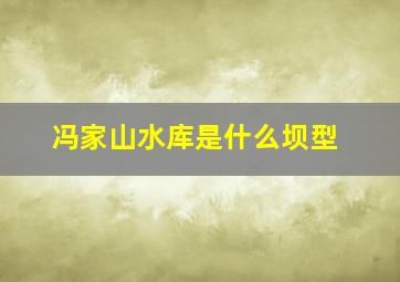 冯家山水库是什么坝型