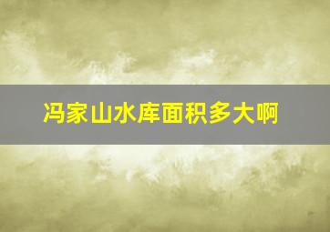 冯家山水库面积多大啊