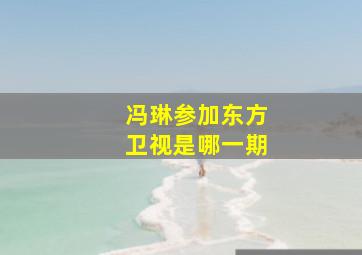 冯琳参加东方卫视是哪一期