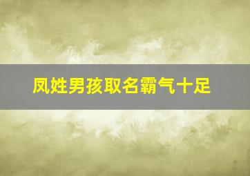 凤姓男孩取名霸气十足