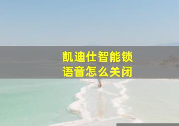 凯迪仕智能锁语音怎么关闭