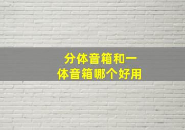 分体音箱和一体音箱哪个好用