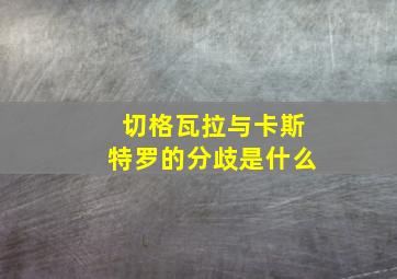 切格瓦拉与卡斯特罗的分歧是什么