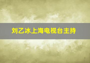 刘乙冰上海电视台主持