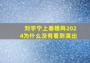 刘宇宁上春晚吗2024为什么没有看到演出