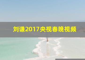 刘谦2017央视春晚视频