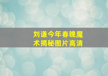 刘谦今年春晚魔术揭秘图片高清