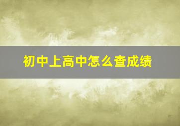 初中上高中怎么查成绩