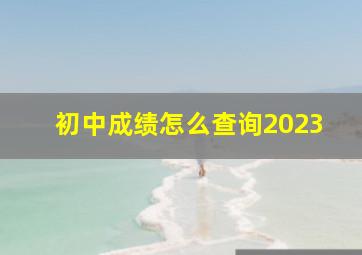 初中成绩怎么查询2023