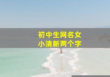 初中生网名女小清新两个字