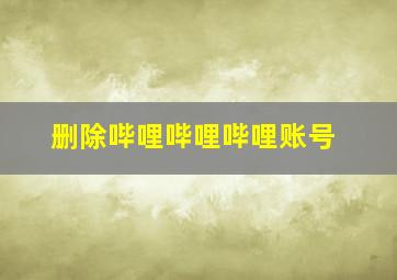 删除哔哩哔哩哔哩账号