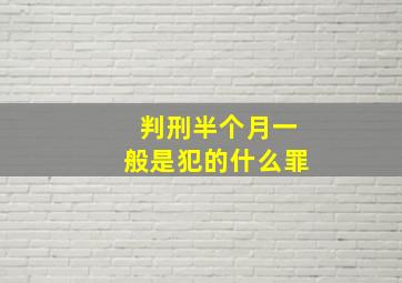 判刑半个月一般是犯的什么罪