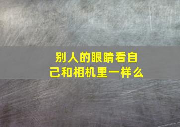 别人的眼睛看自己和相机里一样么