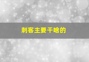 刺客主要干啥的