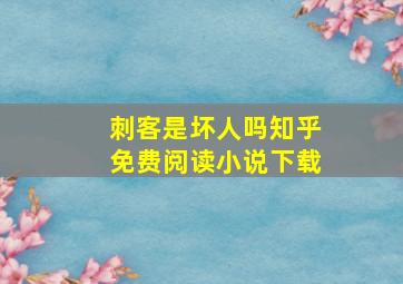 刺客是坏人吗知乎免费阅读小说下载