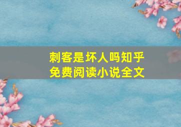 刺客是坏人吗知乎免费阅读小说全文