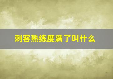 刺客熟练度满了叫什么