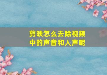 剪映怎么去除视频中的声音和人声呢