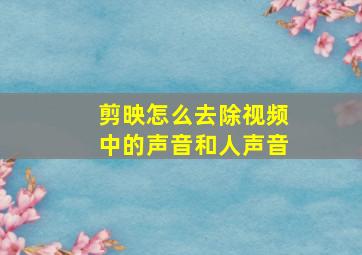 剪映怎么去除视频中的声音和人声音