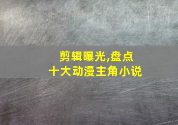 剪辑曝光,盘点十大动漫主角小说