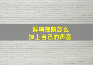 剪辑视频怎么加上自己的声音