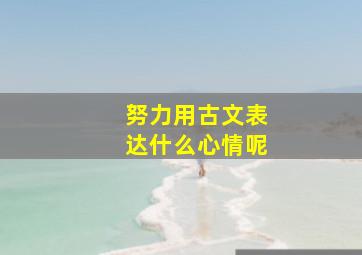 努力用古文表达什么心情呢