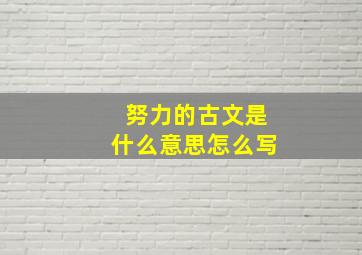 努力的古文是什么意思怎么写