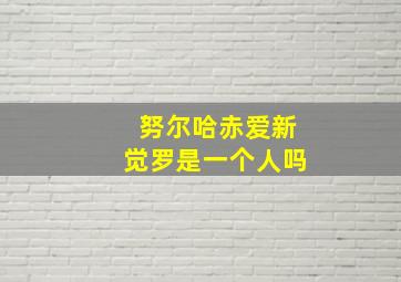 努尔哈赤爱新觉罗是一个人吗