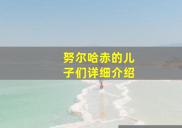 努尔哈赤的儿子们详细介绍