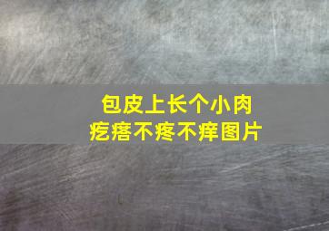 包皮上长个小肉疙瘩不疼不痒图片