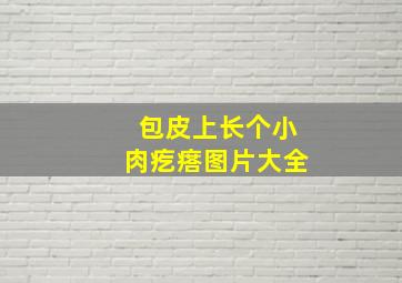 包皮上长个小肉疙瘩图片大全