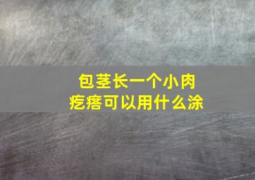 包茎长一个小肉疙瘩可以用什么涂