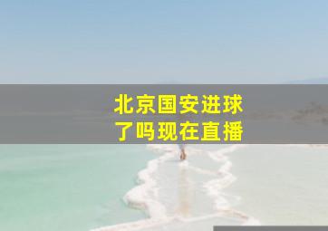 北京国安进球了吗现在直播