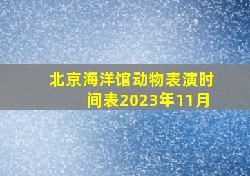 北京海洋馆动物表演时间表2023年11月