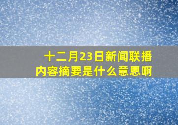 十二月23日新闻联播内容摘要是什么意思啊