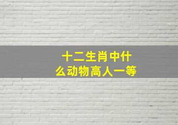 十二生肖中什么动物高人一等