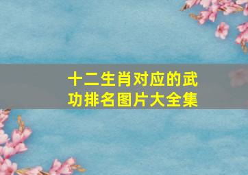 十二生肖对应的武功排名图片大全集