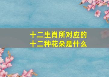 十二生肖所对应的十二种花朵是什么