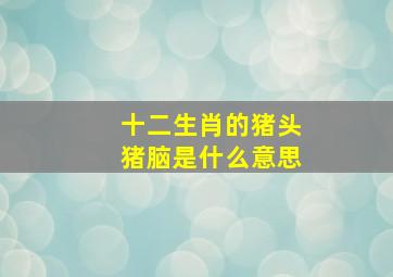 十二生肖的猪头猪脑是什么意思