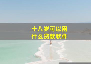 十八岁可以用什么贷款软件