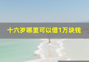 十六岁哪里可以借1万块钱