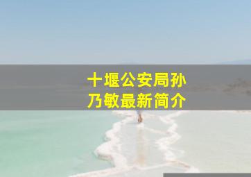 十堰公安局孙乃敏最新简介