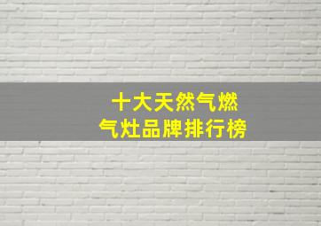 十大天然气燃气灶品牌排行榜